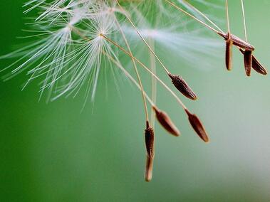 Teilhabe in der letzten Lebenszeit 